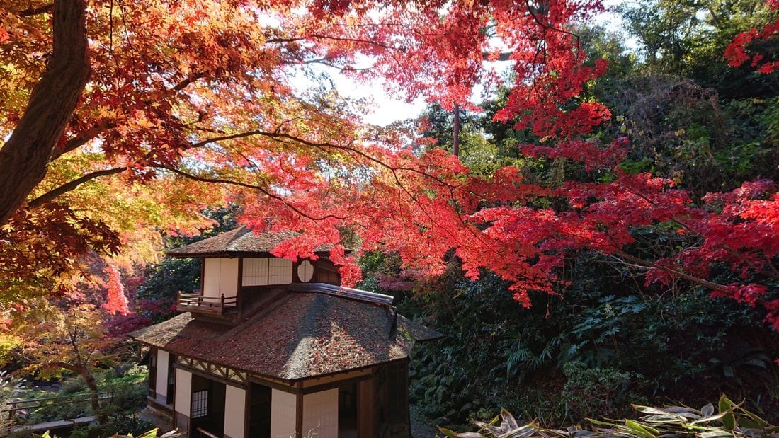 NIjo Castle Kyoto