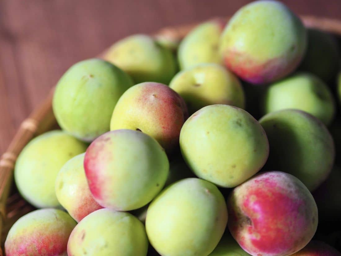Umeboshi