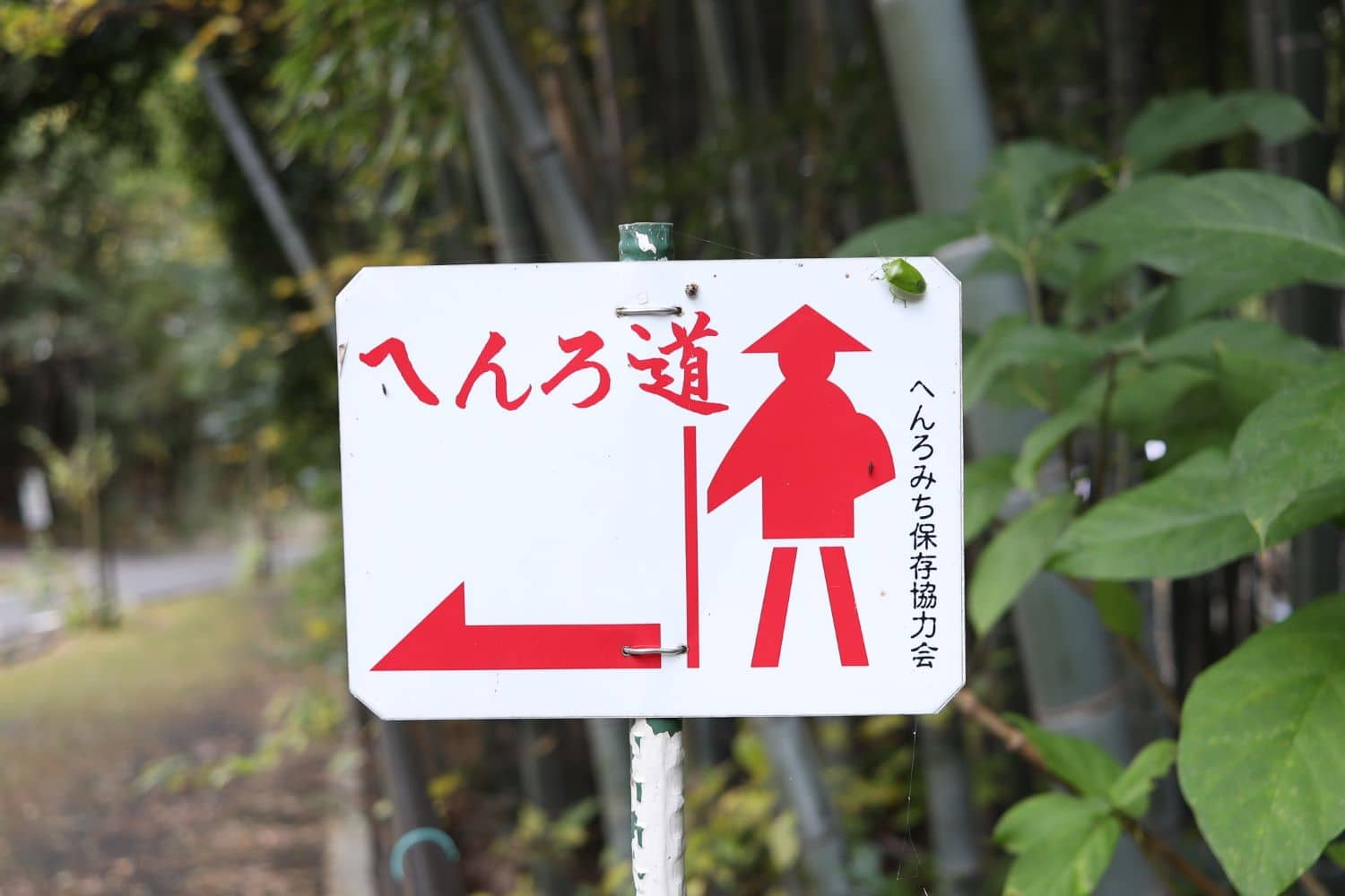 Ohenro Path to Ishite Ji Temple