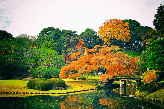 Rikugien Park